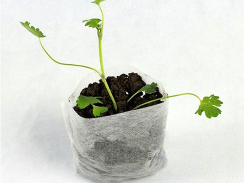 除草布应用对农业的作用